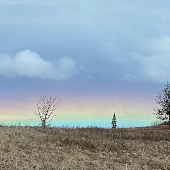 Meet your Posher, Beba - Picture 4 of 10